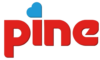 Pine