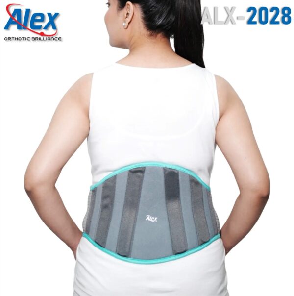 Lumbar Support | 4 malleable Stays | for Lower Back Pain | Relief from Sciatica + Herniated Disc | Breathable | Lightweight | For Men & Women | Made in India | Alex | ALX-2028